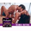 Image de SEX ROULETTE KAMASUTRA MULTILANGUE