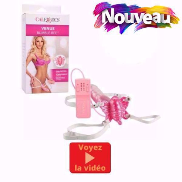 Image de VENUS BUMBLE BEE