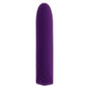 Image de One & Only - Silicone Rechargeable - Acai