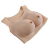 Image de Undergarments - Plate D-Cup - Light