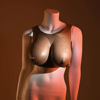 Image de Undergarments - Plate E-Cup - Dark